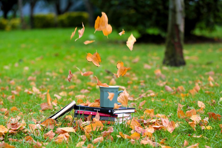 Books and a cup surrounded by falling autumn leaves in a park setting.